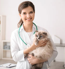 Veterinarian with cat